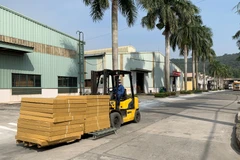 越南贸易平衡将会在下半年有所改善