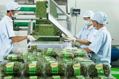 向北欧出口蔬菜和水果：面向方便和有机的产品