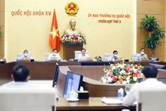 国会常委会第四次会议：确保土地基金能满足基础设施系统发展要求