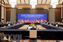 越南出席东盟—中国特别外长会