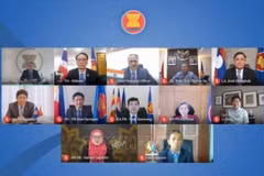 东盟与印度联合合作委员会第21次会议以视频形式召开
