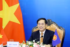 东盟-印度外长会议：相互支持应对和控制疫情的负面影响 促进复苏