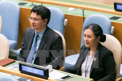 越南常驻联合国代表团团长阮芳娥大使（右）（图片来源：越通社）
