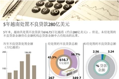 5年越南处置不良贷款280亿美元