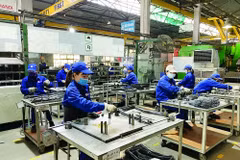 与FDI企业合作促进木材出口 