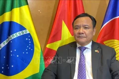 越南驻巴西大使：巴西注重推动与越南双边关系