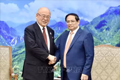 政府总理范明政会见日越友好议员联盟特别顾问武部勤