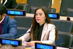 越南强化《联合国宪章》的价值和原则是国际法的基础