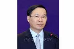党中央同意武文赏同志辞去职务