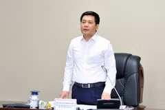 工贸部部长阮鸿延：越南经济逐步化解困难 实现既定目标