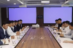 越南与新加坡推动人口数据领域的合作
