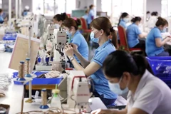 越南经济正朝着正确方向发展