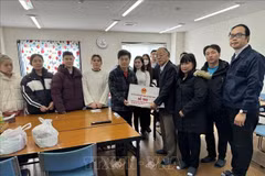 日本地震：越南驻日大使馆组团前往灾区救援越南公民 