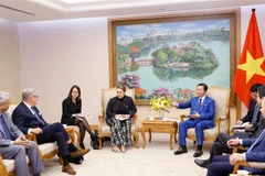 越南与丹麦企业加强对接 开展可再生能源项目