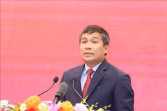 越南外交部常务副部长阮明羽。图自越通社