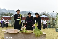 做扁米首先要选好稻谷。图自越通社