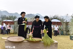 做扁米首先要选好稻谷。图自越通社