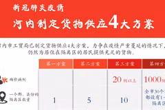 图表新闻：河内市制定货物供应4大方案