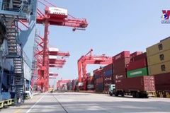 IMF专家：2023-2024年越南是全球经济亮点之一