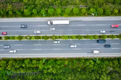组图：河内实现城市道路景观绿化 力争至2022年种植20多万棵绿树