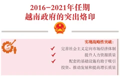 图表新闻：2016-2021年任期越南政府的突出烙印