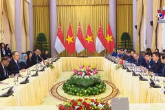 越南国家主席阮春福与新加坡总统雅各布举行会谈