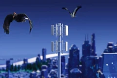 附图 图自越通社