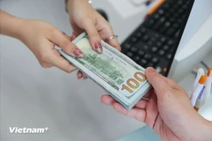 7月31日上午越南国内市场美元价格下降。图自越通社