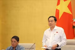 越南国会主席陈青敏在会议上发表讲话。图自越通社