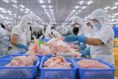 附图。图自越通社