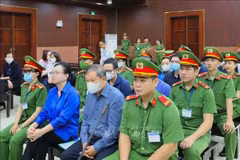 万盛发集团案二审第一阶段宣判。图自越通社