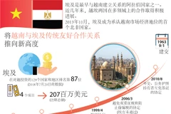图表新闻：将越南与埃及传统友好合作关系 推向新高度