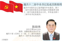 图表新闻：越共十二届中央书记处成员陈锦绣简历