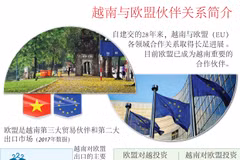 图表新闻：越南与欧盟伙伴关系简介