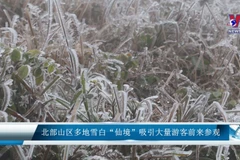 北部山区多地雪白“仙境”吸引大量游客前来参观 