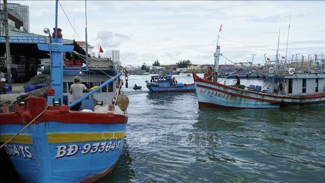 渔船进出归仁渔港。图自越通社