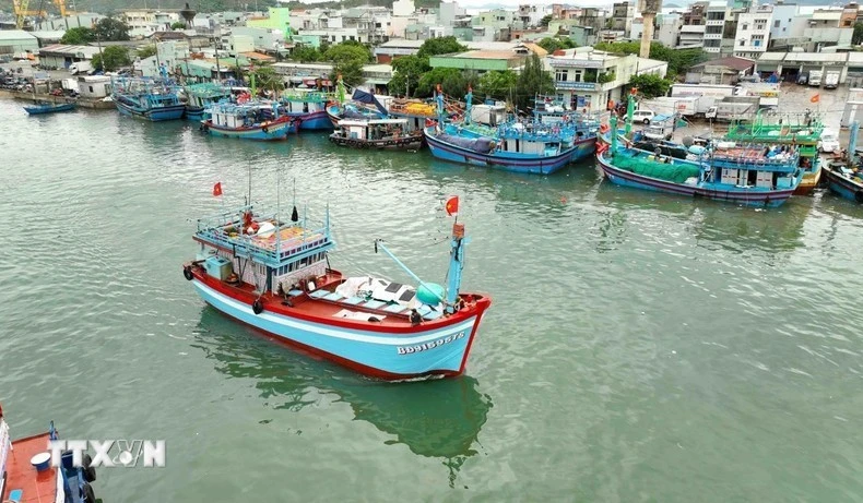 附图。图自越通社