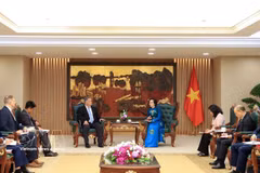越南政府副总理范氏清茶会见由史蒂芬·马克斯纳博士率领的正在访问越南的山姆·约翰逊中心代表团。图自越通社