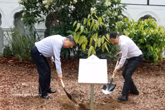 新加坡总理黄循财与越共中央总书记、国家主席苏林在两国部分代表的见证下共同植树。图自越通社