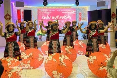 “2026丙午年家乡之春”活动文艺节目。图自越通社