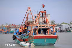 附图 图自越通社