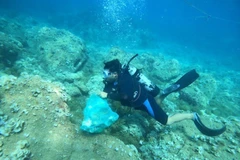 资料图 收拾海底塑料垃圾 图自越通社