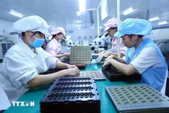 附图 图自越通社