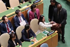 越南外交部副部长阮明姮投票。图自越通社