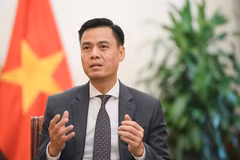 越南外交部副部长邓黄江。外交部供图