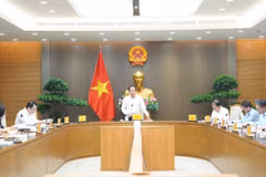 越南政府副总理黎进朱主持召开多次关于规范性法律文件核查情况的会议。越南司法部供图