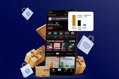 附图。图自越通社