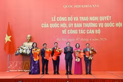 国会主席陈青敏向各位国会副主席颁发任命决议。图自越通社