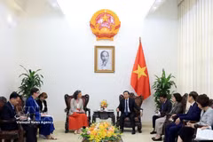越南政府副总理陈红河在政府驻地会见了联合国开发计划署（UNDP）驻越南首席代表拉姆拉·阿勒哈利迪和世界卫生组织（WHO）驻越南首席代表安吉拉·普拉特。图自越通社