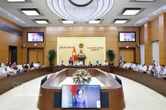 国会主席副主席阮氏红在会议上发表讲话。图自越通社